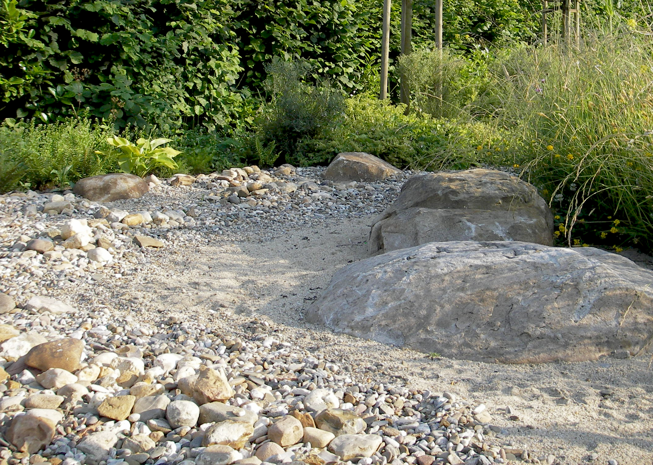 IMGP4846_ba