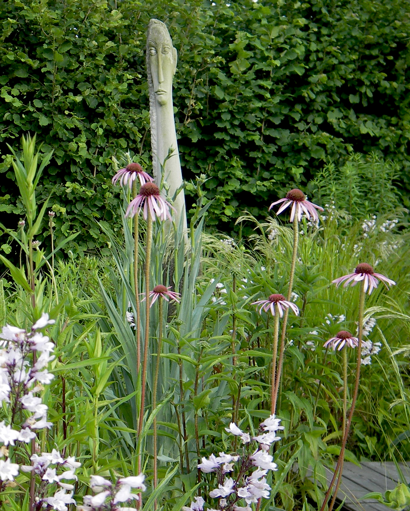 IMGP8891_ba IMGP8891_ba